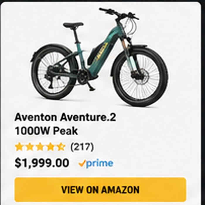 Long-Range Adventure Bikes