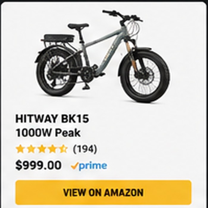 1000W Fat-Tire Bikes